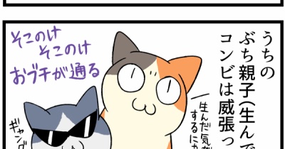 「お人よしな柴犬」と威張っている猫の笑える関係性