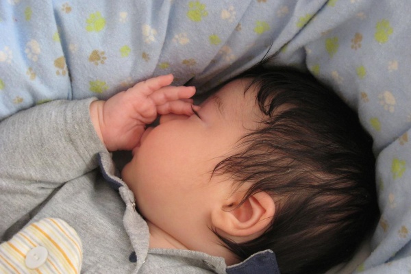 クマ家族 生後２ヶ月