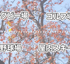 林間都市計画で中央林間駅〜南林間駅の間に建設予定だったスポーツ施設はなに？【やまとクイズ】