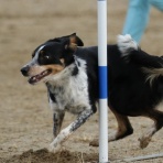 フォトグラファーチコソラのブログ