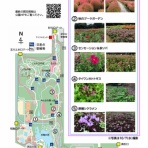 ディスカスの逍遥日誌