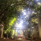 『明日香村再訪記② 諸願成就と病気平癒にご利益 櫛玉命(くしたまのみこと)神社』の画像