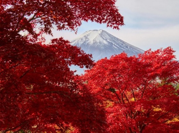 海外「秋の長野／岐阜が絶景過ぎた！」日本アルプスと富士山の秋に対する海外の反応