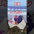 大手書店が開催する！夏のフェア2025…　　