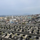 マラソン忘れて墓参り