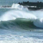 OneShotTripSurfとその仲間たち