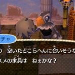 とび森で村長生活（仮）