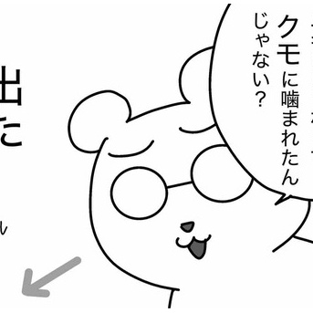 全部クモのせい？
