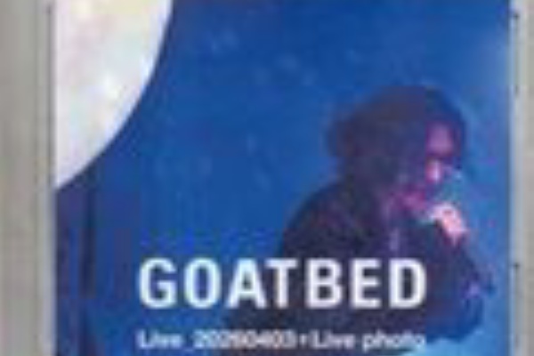 GOATBED / 合成俳優 GOATBED GBTBW 配布音源付きグッズ アルバム「合成俳優」(受注生産) 12