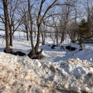 馬とニャンコと男と女