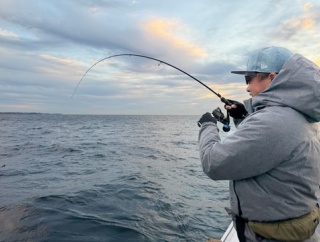 ティップラン。