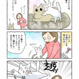 お姉ちゃん大好きな弟猫ちゃん＃７【ねこちゃんの距離】