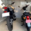 にわかには信じがたいほんとの話