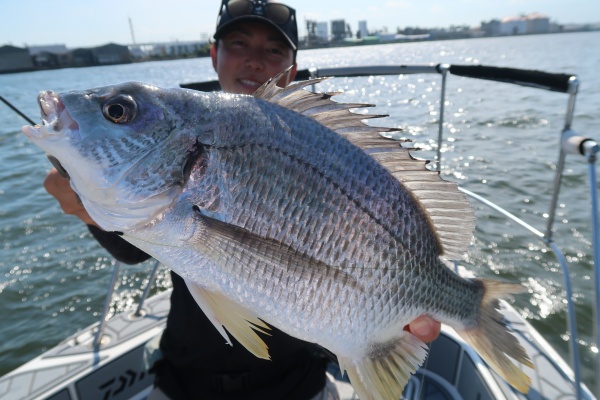 TOKYOBAY FISHING GUIDE SERVICE Glory(グローリーフィッシング)