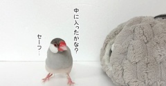 怪しい業者がやって来た！②