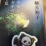 広東省でゴルフ&ヨガ&猫