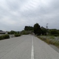朝からお散歩