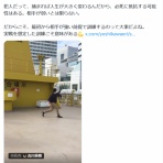 わんこーる速報！