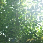 スタッフ日記　今日のエ・ム・ズ