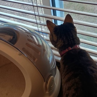 moroのハンドメイド