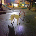 いんちょブログ
