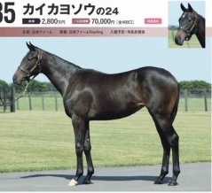 【キャロット】勝手に募集馬見解 その82 カイカヨソウの24