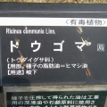 現在の状況250801