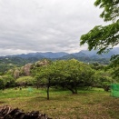 4/26 - その３　春の渋沢丘陵