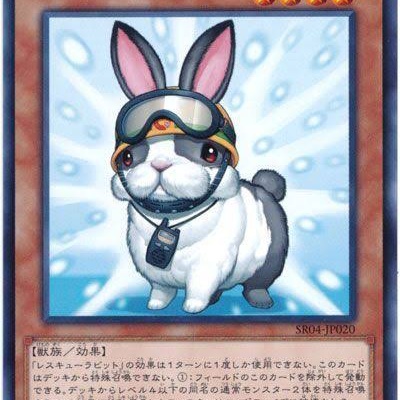 カウントサーベイヤー　スケールサーベイヤー　セット Amazon.co.jp: 遊戯王カード DDスケール・サーベイヤー