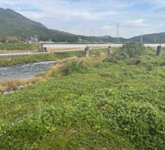 黒い大蛇が川を泳いだ−緑山の大蛇