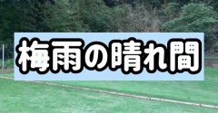 やっぱり暑い。器用な犬にはご用心。