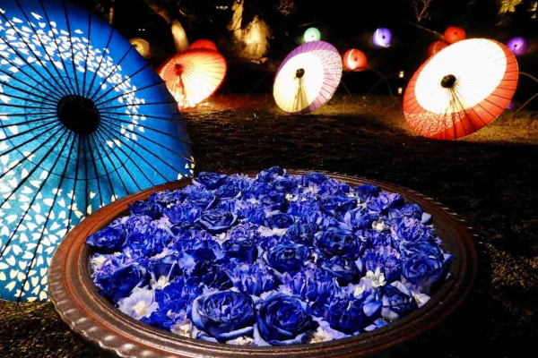 何度でも訪れたい日本の風景 花手水