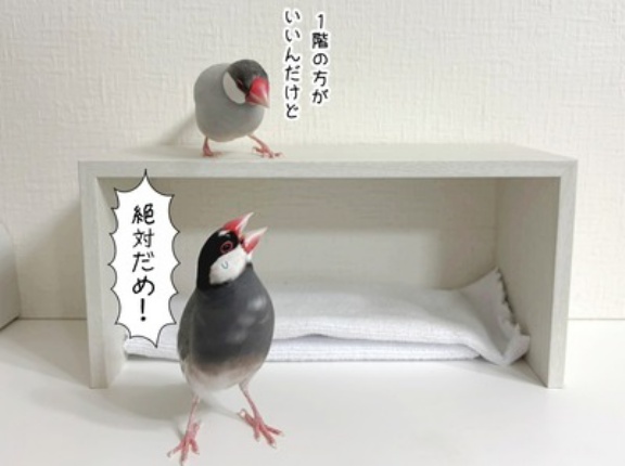 また新しい別荘を手に入れたセラ