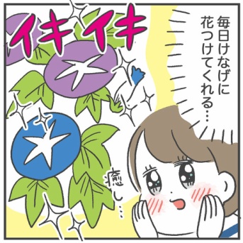 植物って癒し…ですね…