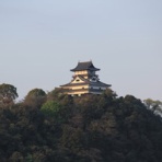 凸こころのひとり日記凹