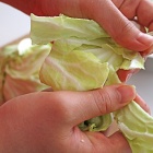 新生活レシピ！包丁いらずで超簡単！春キャベツと豚肉の塩昆布蒸し＆感動のイエルバブエナ