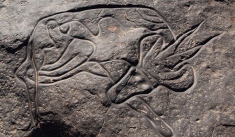 古代人の残したロックアート 岩肌に無造作に描かれた絵に見るメッセージ