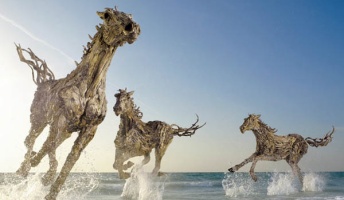 命は作れる?枯れた流木が動物たちの姿に生まれ変わったネイチャーアート