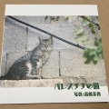 写真展「パレスチナの猫」＠福山・アンラーンとトーク「パレスチナの家族の今」