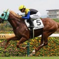 【競馬予想】第61回京王杯2歳ステークス(GⅡ) /2025