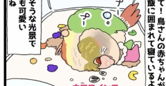 【横着】そこにご飯があったので🦜