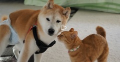 爽やか〜♪