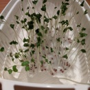 放射線治療とスナイパー