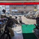 日曜日・・・・寒さはましなような・・・