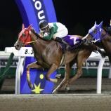 『【移籍馬情報】ホッカイドウ競馬・2歳移籍馬情報～その7・大井編～』の画像