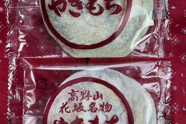 橋本 伊都 那賀の100年 目でみる 橋本 100年 歴史本 目で