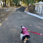 イヌじゃないの、ムスメなの☆