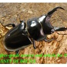 〇週末はポイント5倍＼(^o^)／