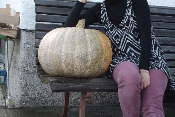 南ドイツ 母と娘の田舎暮らし 庭 畑 花壇