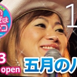 『五月のバラ Vol.110』の画像